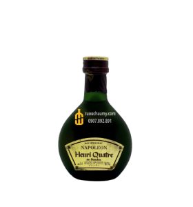 Rượu Napoleon Henri Quatre Armagnac 30ML
