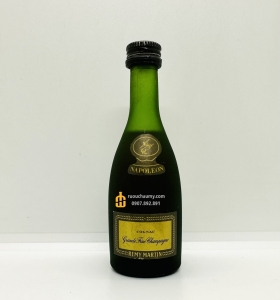 Remy Martin Napoleon Old Mini 50ML